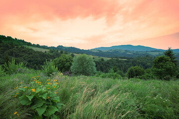 View of the slopes of mountains during sunset in summer