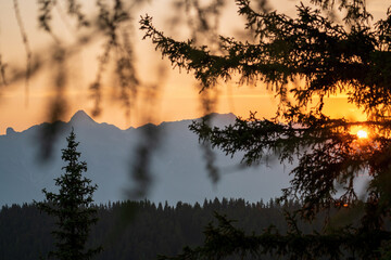 beautiful sunset on the mountains in summer with view to the alps