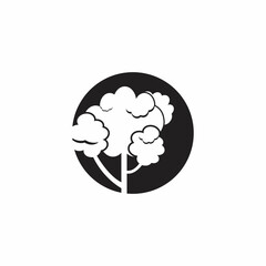 pine evergreen fir hemlock spruce conifer cedar Christmas tree Logo design vector