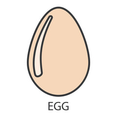 The egg icon with the inscription. A beige chicken egg with a gray outline. A product that causes an allergic reaction. Vector illustration isolated on a white background for design and web.