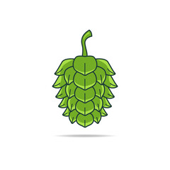 Illustration vector graphic of Beer Green Hop Flower ready for beer marketing and selling purposes. Also used in herbal medicine as a treatment for insomnia, anxiety, restlessness