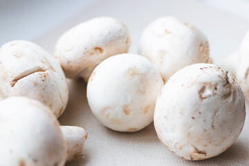 Fresh champignon mushrooms on white background. Selective focus on center mushrooms. Healthy food. 