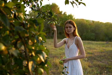 Woman in white dress with apples near fruit tree nature