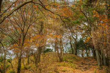 兵庫県・ハイキングウォーキング千ヶ峰
