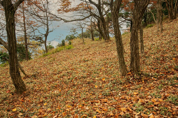 兵庫県多可町・ハイキングウォーキング千ヶ峰