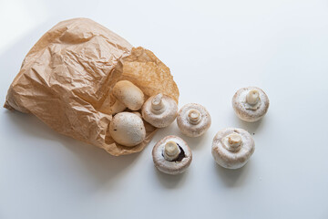 Some wild mushroom on a bowl and in a brown paper bag over a white background