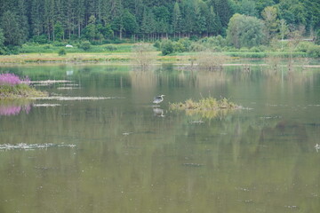 Am Ossiacher See in K&auml;rnten: Ostufer