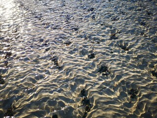 Pattern of seaweeds and sand under wavy clear sea water reflecting rays of the sun on a bright cold day in Latvia 