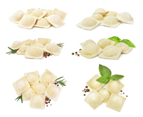 Set with uncooked ravioli on white background