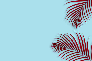 Creative layout of colorful tropical  palm leaf on pastel blue background. minimal summer exotic concept with copy space, flat lay.