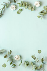 Fototapeta na wymiar Eucalyptus branches and cotton flowers - floral frame. Top view