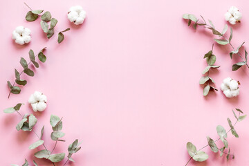 Eucalyptus branches and cotton flowers - floral frame. Top view