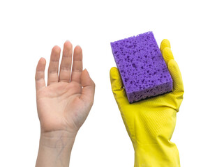 Hand in rubber glove and hand without protective, safe cleaning concept, isolaetd on a white background