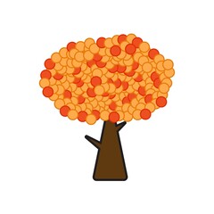 Naklejka na ściany i meble Icon tree. Orange Tree with Leaves. Vector outline Illustration. Plant in Garden. Tree with orange leaves. 