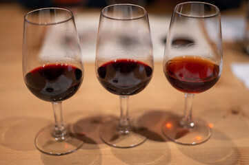 Professional tasting of different fortified dessert ruby, tawny port wines in glasses in porto cellars in Vila Nova de Gaia, Portugal
