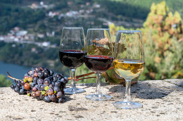 Outdoor tasting of different fortified port wines in glasses in sunny autumn, Douro river Valley, Portugal