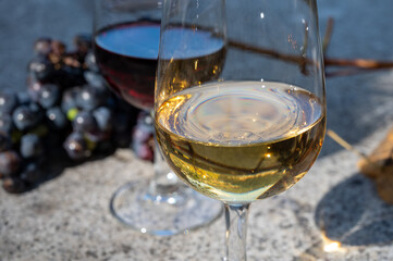 Outdoor tasting of different fortified port wines in glasses in sunny autumn, Douro Valley, Portugal