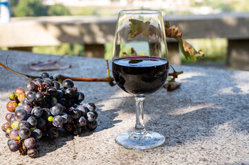 Outdoor tasting of different fortified port wines in glasses in sunny autumn, Douro Valley, Portugal