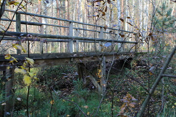 Enjoying nature managed to find a bridge that was absorbed by nature.