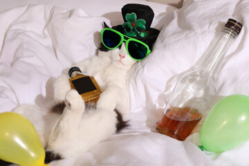 Cute cat wearing leprechaun hat and sunglasses with bottles of whiskey on bed. After party hangover