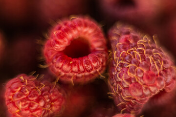 Fresh organic ripe raspberry - forest fruit