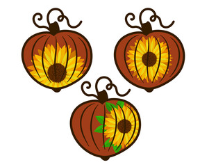 Three decorative pumpkins decorated with a sunflower flower. Vector illustration