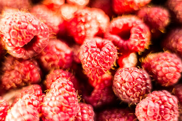 Fresh organic ripe raspberry - forest fruit