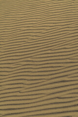 The dunes at the Gobi Desert