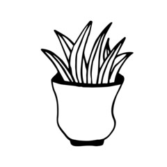 Doodle vector pot with a home plant on a white background is isolated