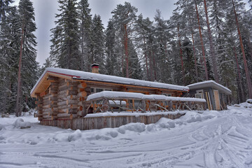 log cabin in a pine forest in winter