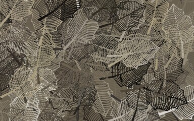 Dark Gray vector abstract design with leaves.