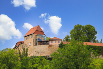 Fototapeta premium Creuzburg Castle in Thuringia - Germany