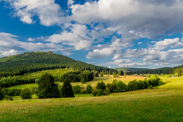 Naklejka premium Sommerspaziergang durch die schöne Natur des Thüringer Waldes