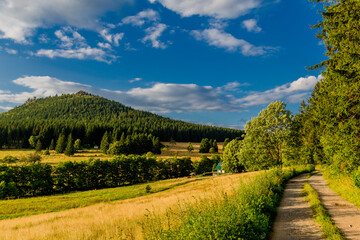 Obraz premium Sommerspaziergang durch die schöne Natur des Thüringer Waldes