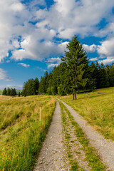 Fototapeta na wymiar Sommerspaziergang durch die schöne Natur des Thüringer Waldes