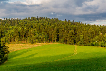Sommerspaziergang durch die schöne Natur des Thüringer Waldes