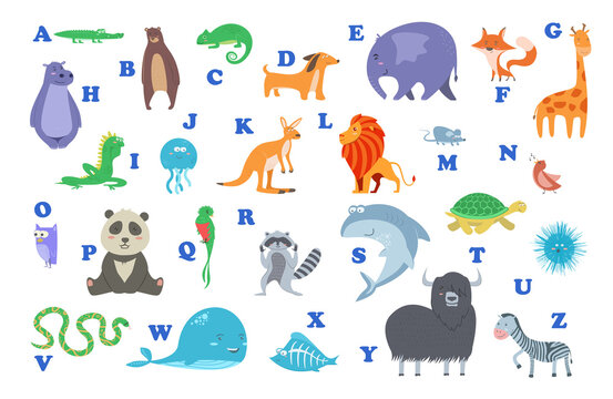 Set of Cute cartoon wild and farm domestic animals and birds isolated on white transparent background. Vector flat design children illustration. Alphabet for kids