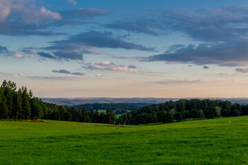Naklejka premium Sommerspaziergang durch die schöne Natur des Thüringer Waldes