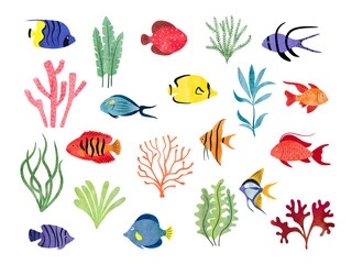 Tropical fish and seaweeds isolated on white. Big vector aquarium set of watercolor different fish and decorations. - obrazy, fototapety, plakaty