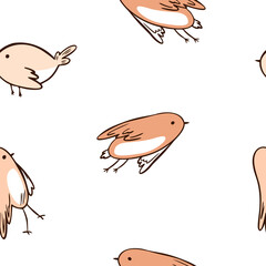 Seamless Pattern.Colorful Cute Birds for Design.Vector Illustration