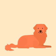 Golden retriever dog puppy, pet animal flat vector isolated design concept
