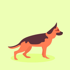 German shepherd dog puppy, pet animal flat vector isolated design concept