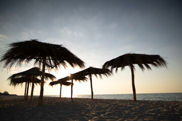 Silhouette of straw umbrellas in Egypt on the shore during dawn.