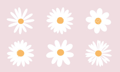 Set of daisy flowers icons isolated on pink background vector illustration.