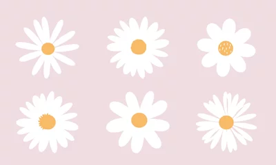 Foto op Canvas Set of daisy flowers icons isolated on pink background vector illustration. © Thanawat