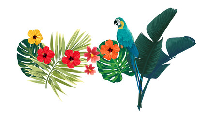 Tropical plants, hibiscus flowers and monstera palm leaves