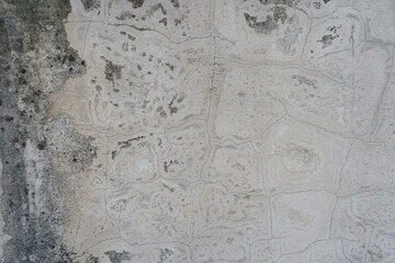 The mortar is cracked in lines with black water stains.The old whitewashed surface had a pattern similar to that of a map
