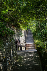 Seat with a view on a path from the beach