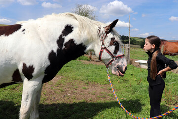 child and horse