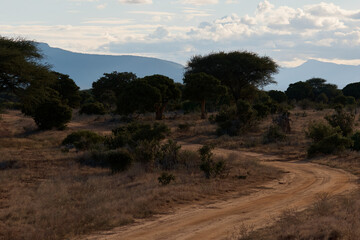 nature of kenya